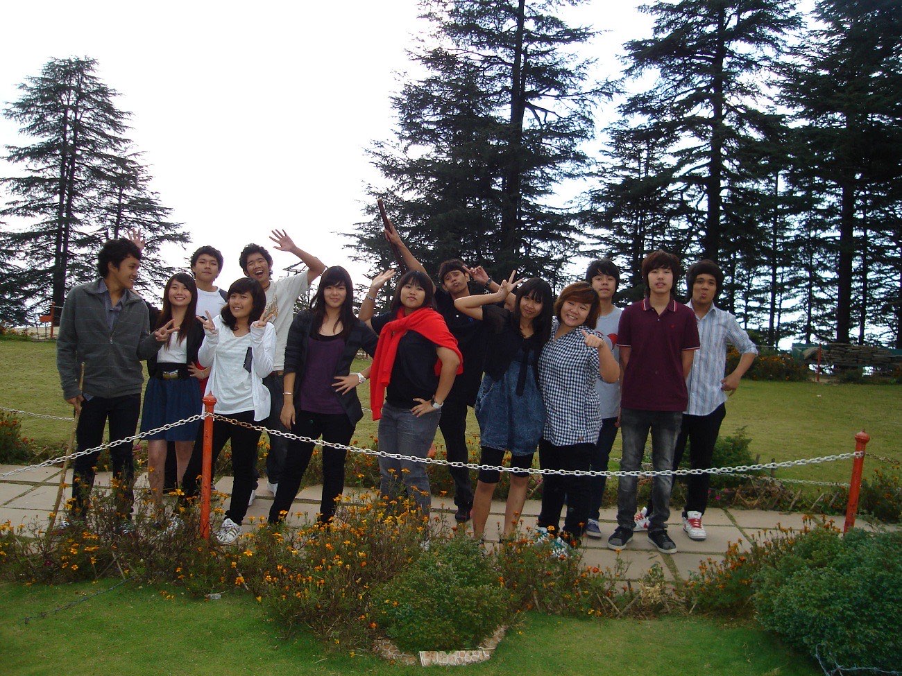 Students on an excursion among tall pine trees